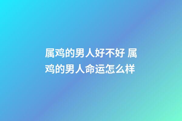 属鸡的男人好不好 属鸡的男人命运怎么样-第1张-观点-玄机派